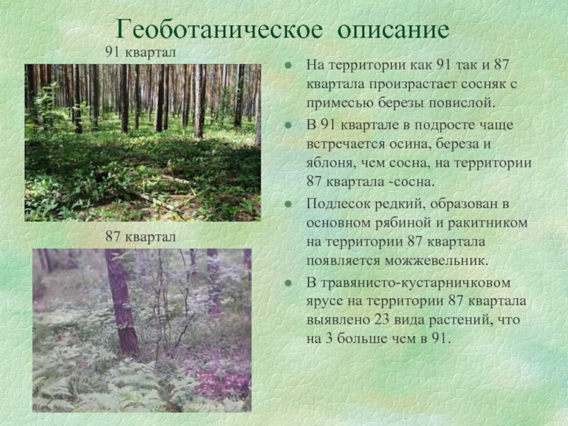 Определите территорию по описанию. Геоботаническое описание. Геоботаническое описание растений. Описание местности леса. Геоботаническая характеристика растительного сообщества.
