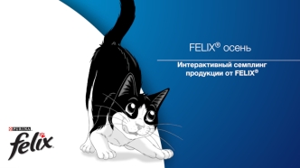 Интерактивный семплинг продукции от Felix®. Корм для котов
