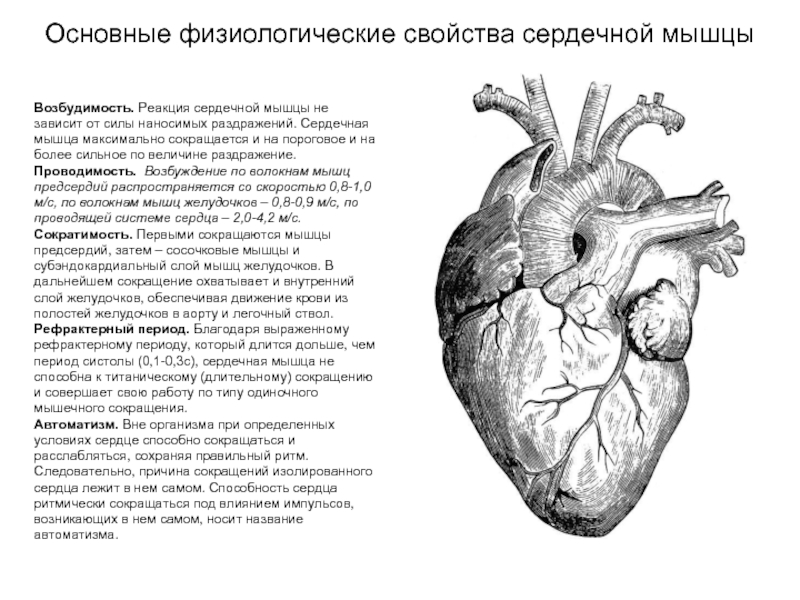 Доклад по теме Кардиология