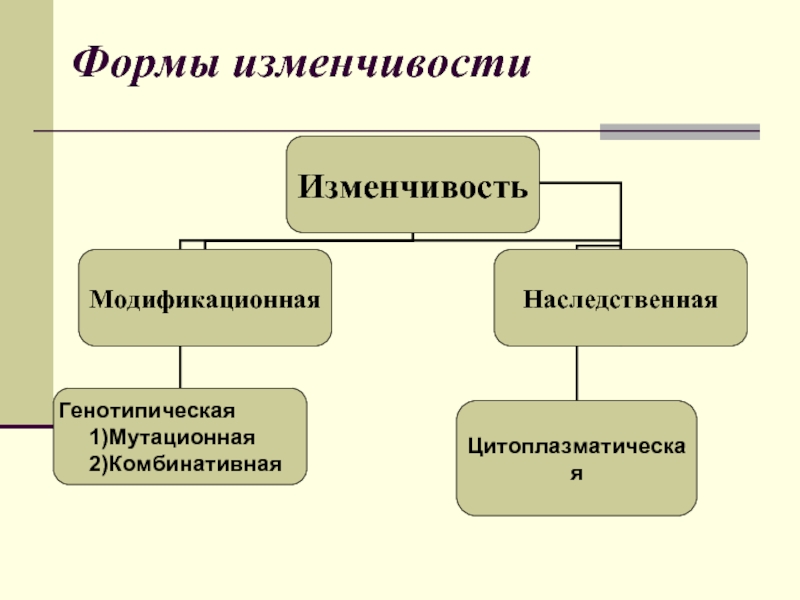 Формы изменчивости таблица 9 класс