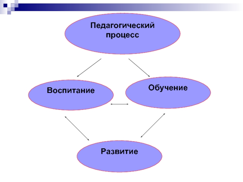 Воспитание схема понятия