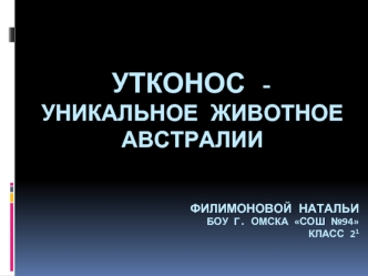 Утконос - уникальное животное Австралии