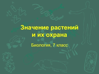 Значение растенийи их охрана