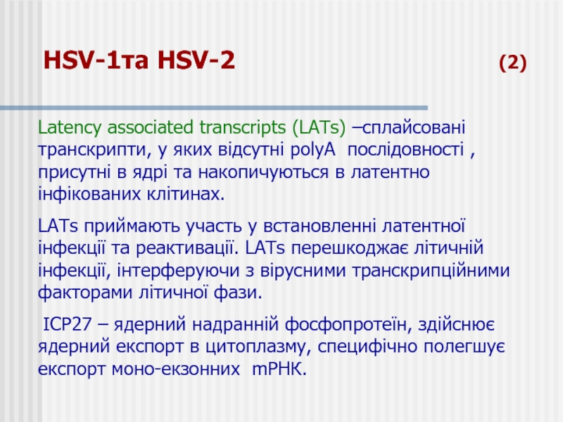 HSV-1та HSV-2