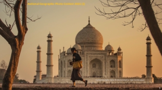 National Geographic Photo Contest 2015 (1)