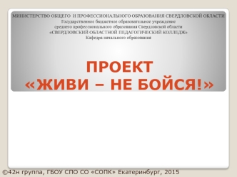 Проект Живи - не бойся. Безопасность дорожного движения. Опасности толпы. Как защитить свое будущее