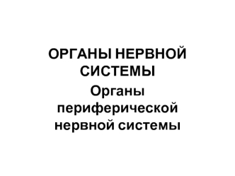 Органы периферической нервной системы