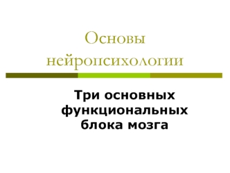 Основы нейропсихологии. Три основных функциональных блока мозга