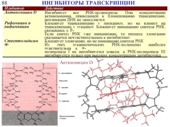 Ингибиторы транскрипции