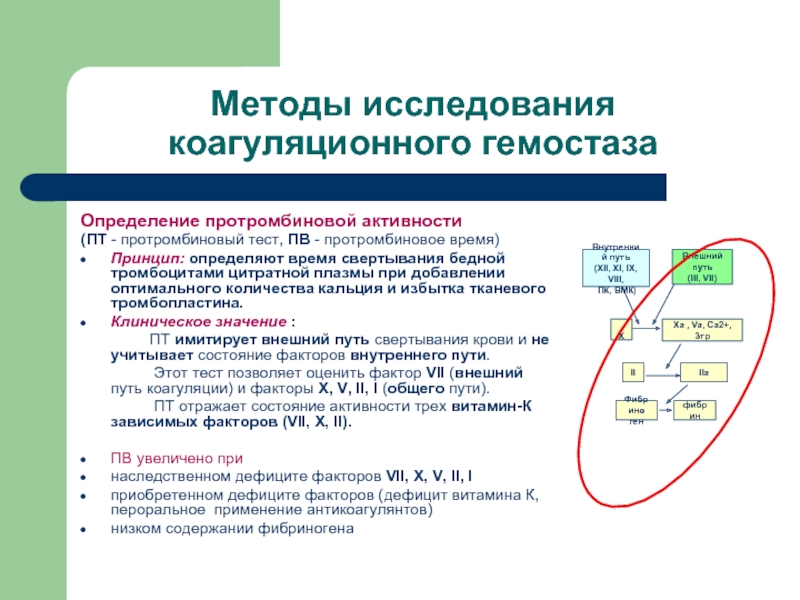 Увеличение протромбинового времени