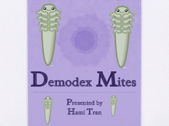 Demodex Mites