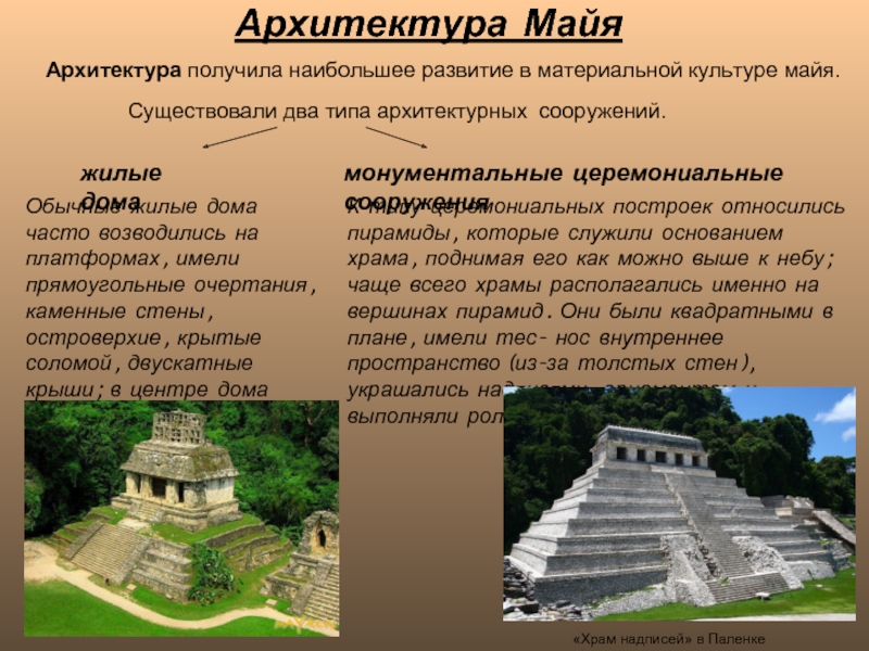 Курсовая работа: Культура давніх майя