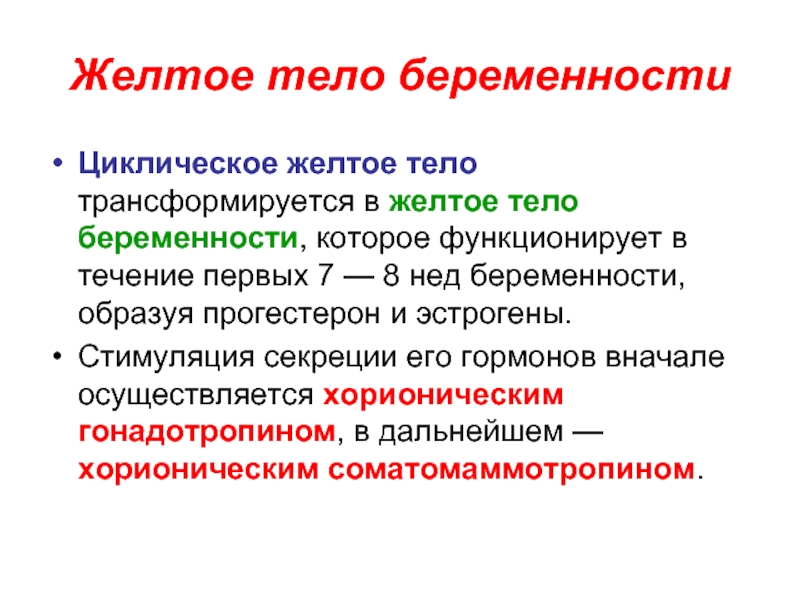 Желтое тело при беременности. Желтое тело беременности. Желтое тело беременности функционирует. Функции желтого тела. Роль желтого тела при беременности.