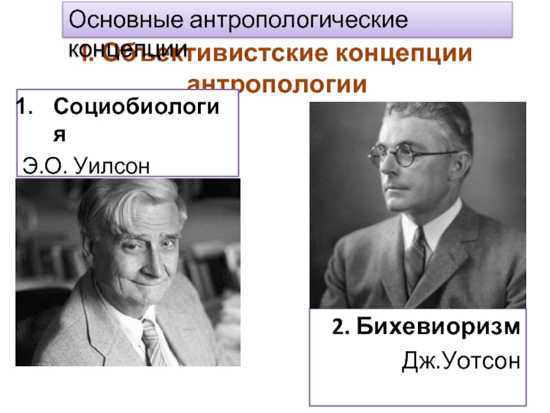 Человек это антропологическое понятие. Основные антропологические концепции. Основные антропологические теории. Антропоэкологическая концепция. Антропологические концепции естествознания.