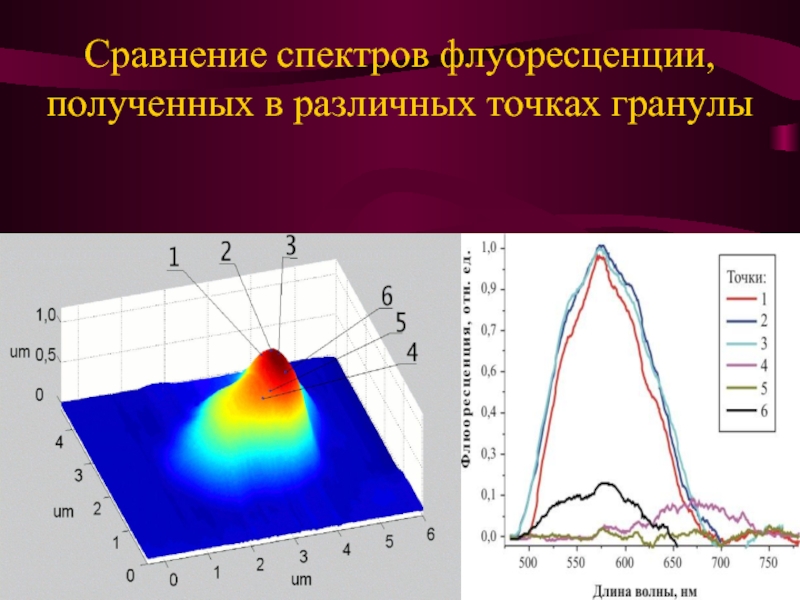 Спектр сравнения. Спектр флуоресценции. Спектры флуоресценции. Сравнение спектров. Измерение спектров флуоресценции.