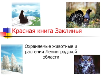 Красная книга Заклинья