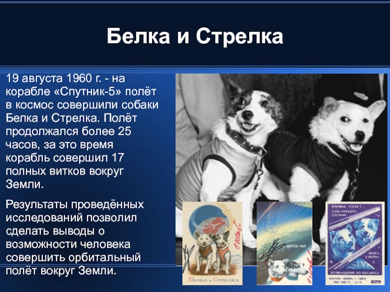 Белка и Стрелка 19 августа 1960 г. - на корабле «Спутник-5» полёт в космос совершили собаки Белка