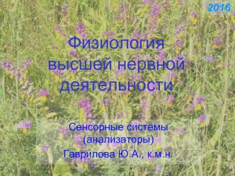 Физиология высшей нервной деятельности. Сенсорные системы (анализаторы)