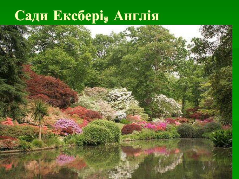 Сади Ексбері, Англія