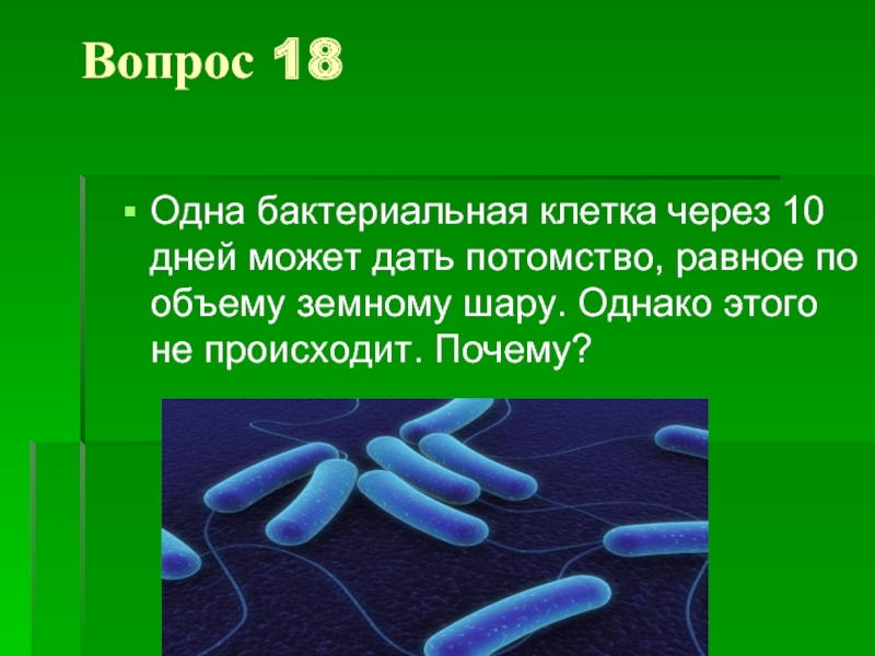 Через 10 дней. Одна бактериальная клетка через 10 дней может дать потомство равное. Одна бактериальная клетка через 10 дней. Бактериальная клетка через. Потомство одной бактериальной клетки.