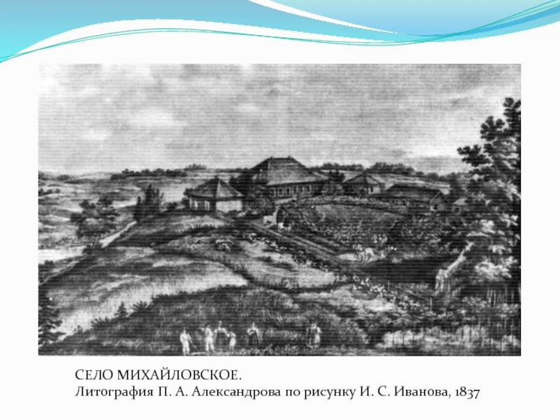 Село михайловское краснодарский край. В разные годы под Вашу сень Михайловские Рощи являлся я.