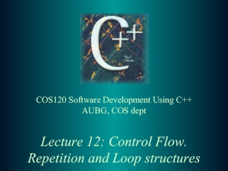 Lecture 12: Control Flow