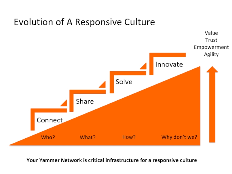 Trust value. Maturity value. Value Creation. Stages of adoption.