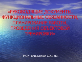 РУКОВОДЯЩИЕ ДОКУМЕНТЫ,ФУНКЦИОНАЛЬНЫЕ ОБЯЗАННОСТИ,ПЛАНИРОВАНИЕ РАБОТЫ,ПРОВЕДЕНИЯ ОБЪЕКТОВОЙ  ТРЕНИРОВКИ