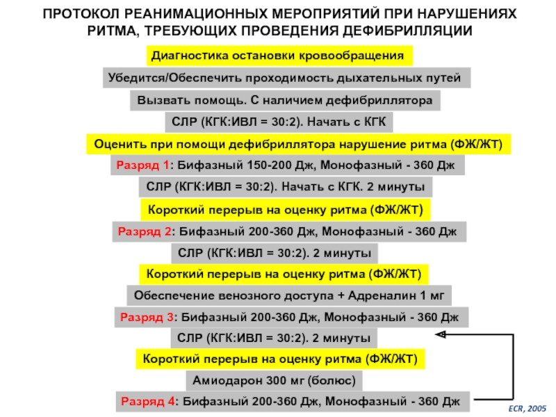 Протокол слр у взрослых образец