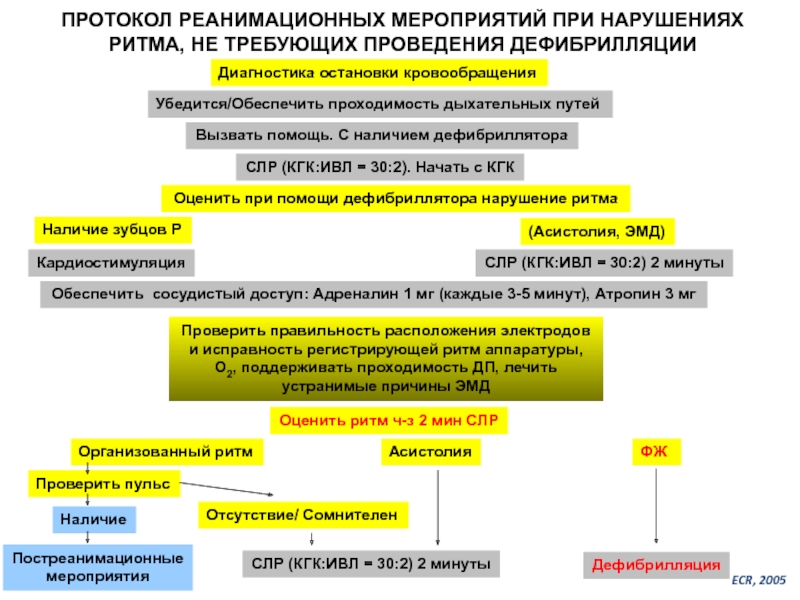 Протокол слр у взрослых образец смп