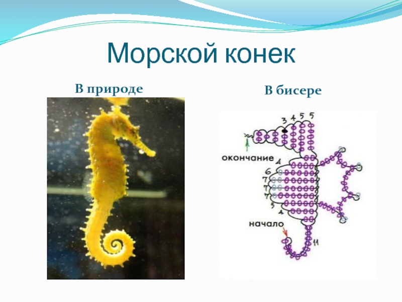 Морской конек из бисера схема для начинающих