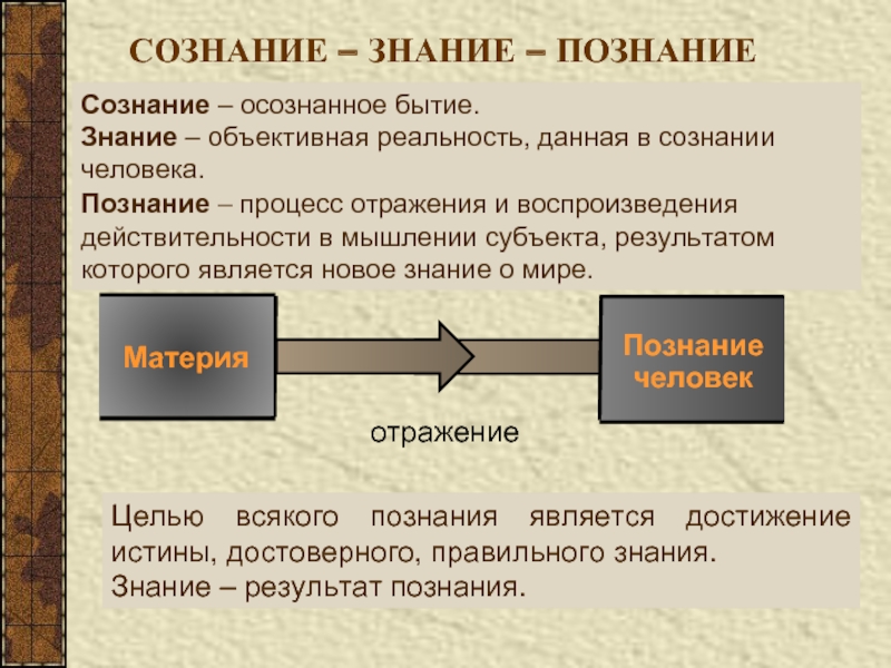 Литературное направление которое характеризуется объективным изображением действительности