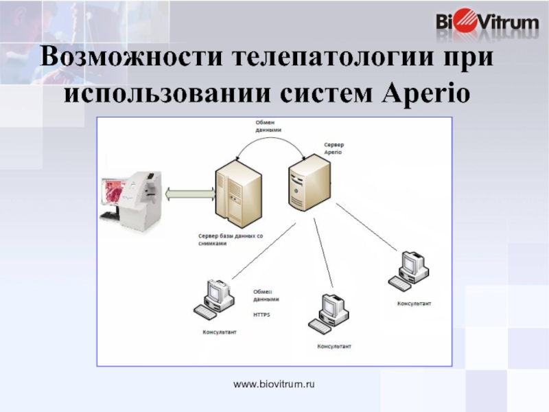 Возможности ru. Телепатология. Систем Аперио. Телепатология презентация. Телепатология это в медицине.