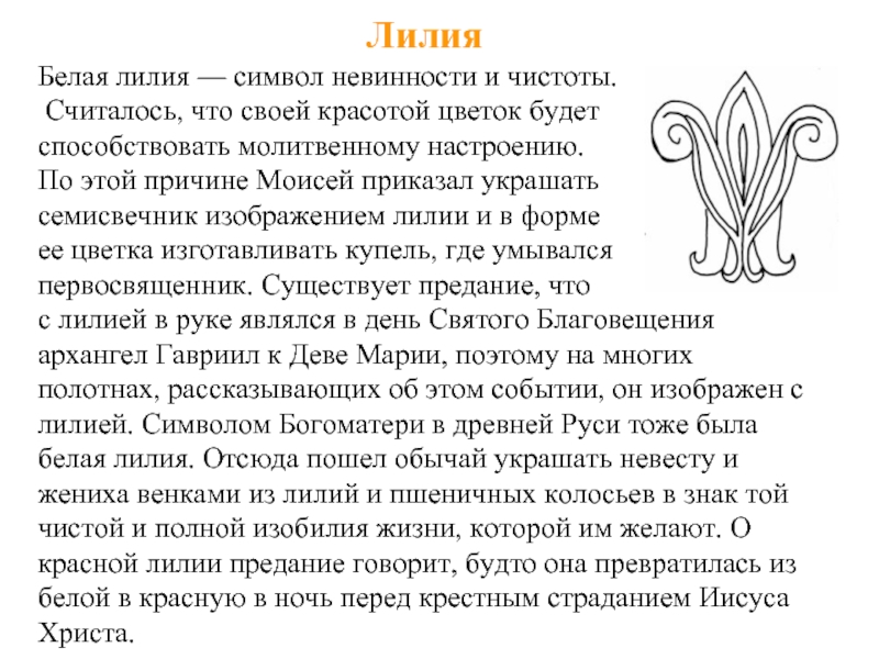 Что означают лилии. Лилия символика в христианстве. Лилия символ чего в христианстве. Белая Лилия символ. Лилия символ чего.