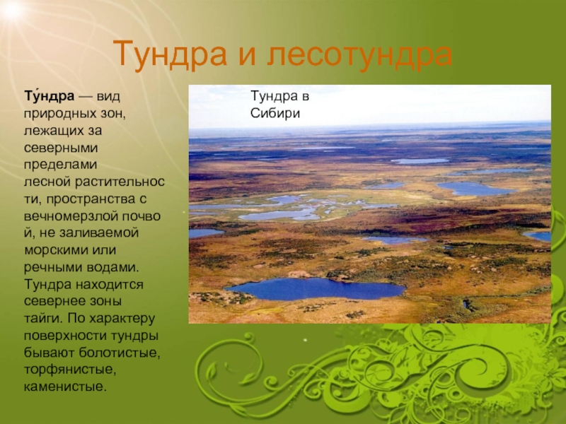 Презентация по географии 7 класс на тему природные зоны евразии