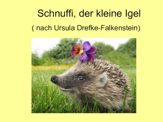 Schnuffi, der kleine Igel