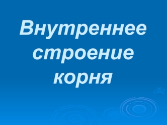 Внутреннее строение корня