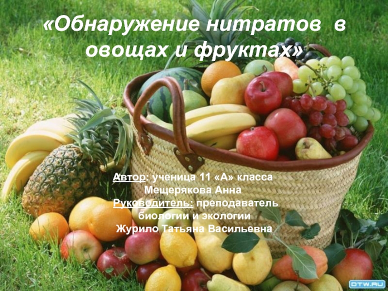 Презентация Обнаружение нитратов  в овощах и фруктах