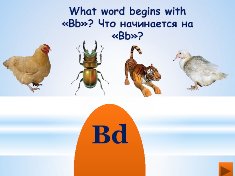 What word begins with «Bb»? Что начинается на «Bb»?   Bd