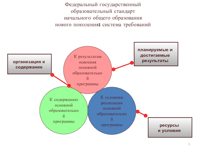 Организация и содержание образовательной программы