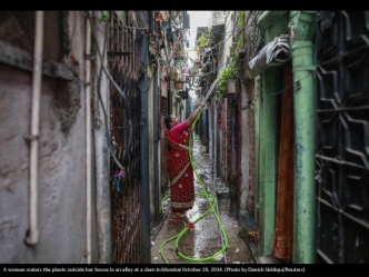 A woman waters the plants outside her house in an alley at a slum in Mumbai October 28, 2014. (Photo by Danish Siddiqui/Reuters)