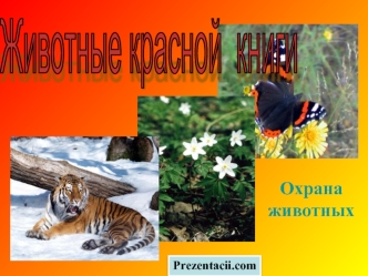 Животные красной
 книги