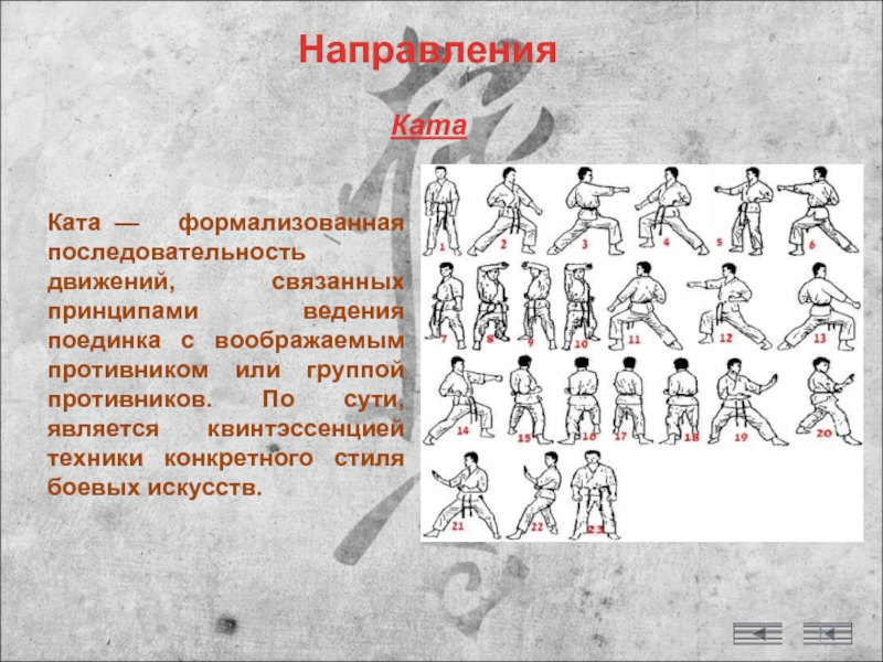 Последовательность движений. Карате движения. Направления в каратэ. Последовательность ката в карате.