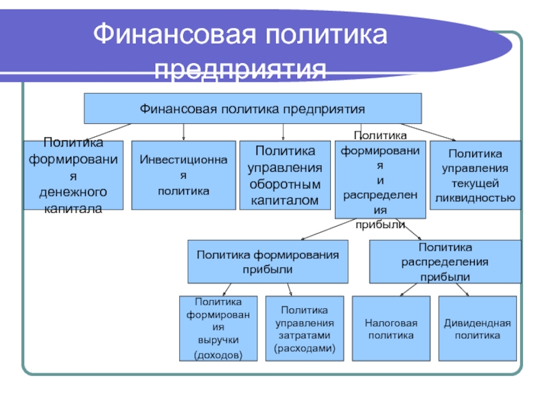 Финансы организаций презентация