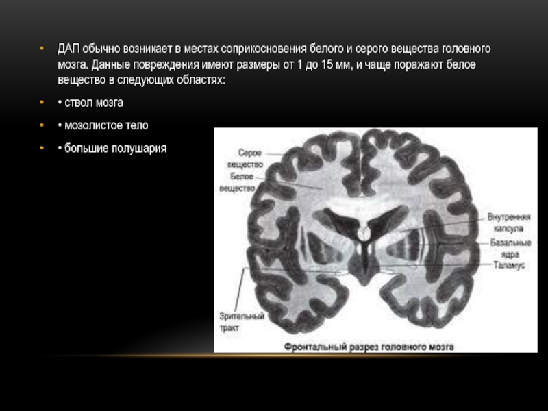 Общая схема локализации белого и серого вещества головного мозга