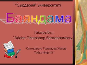 Adobe Photoshop бағдарламасы