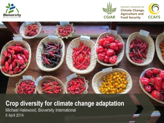 Crop diversity for climate change adaptation 
Michael Halewood, Bioversity International
8 April 2014