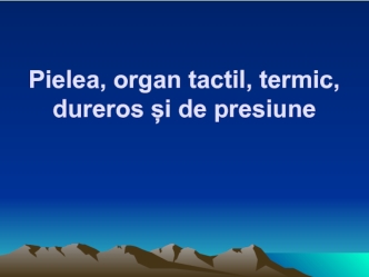 Pielea, organ tactil, termic, dureros și de presiune. (Lectie 11)