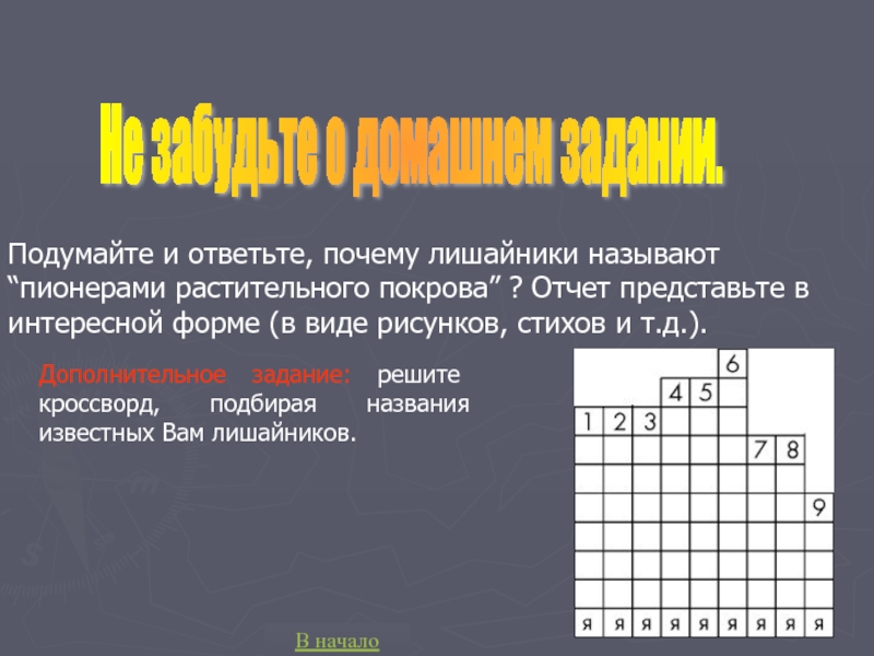 Почему лишайники называют пионерами покрова