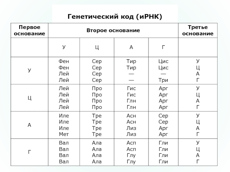 Схема генетического кода